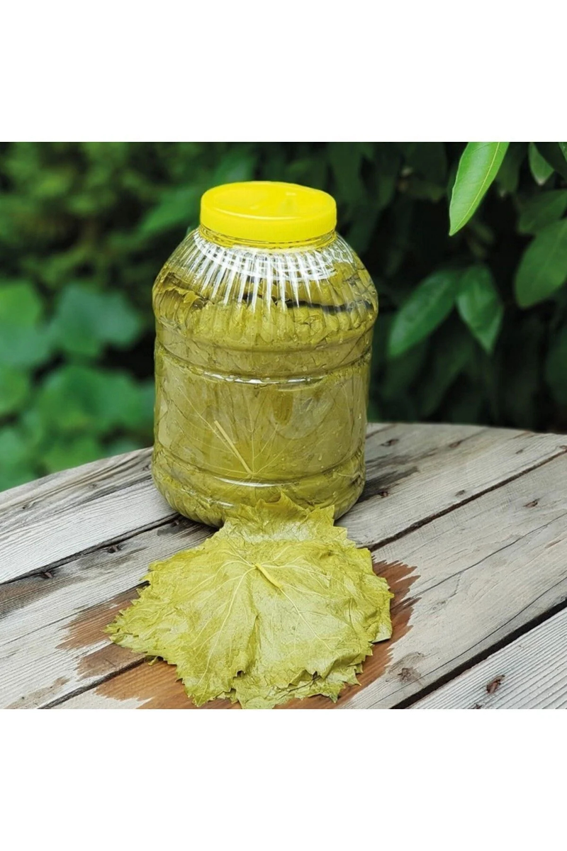 Salamura Bağ Yaprağı (MANİSA)yeni Mahsül Net 3kg Bidon