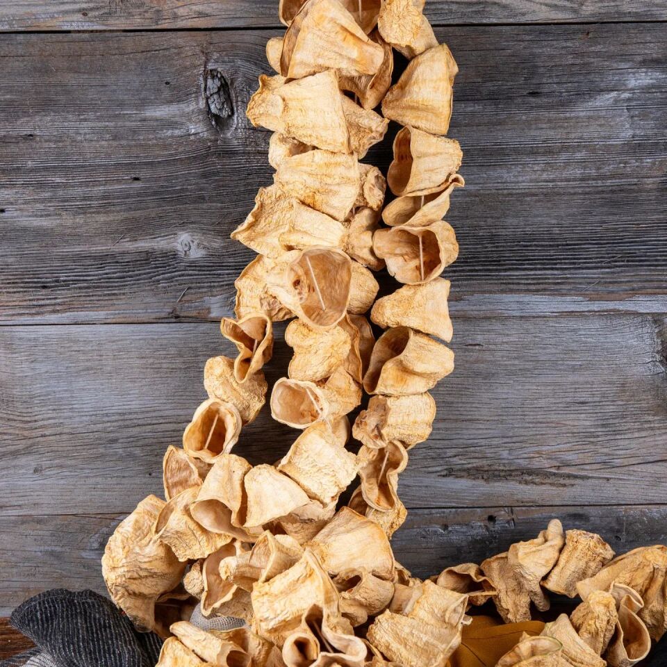 Kurutmalık Kabak Dizimli Bir İp 45 50 adt