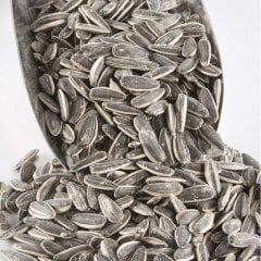 Tuzlu Siyah Ayçekirdeği