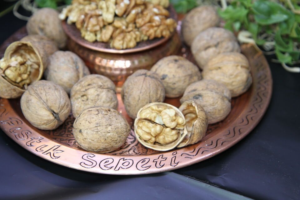 İNCE KABUKLU CEVİZ TÜRKMEN CEVİZİ