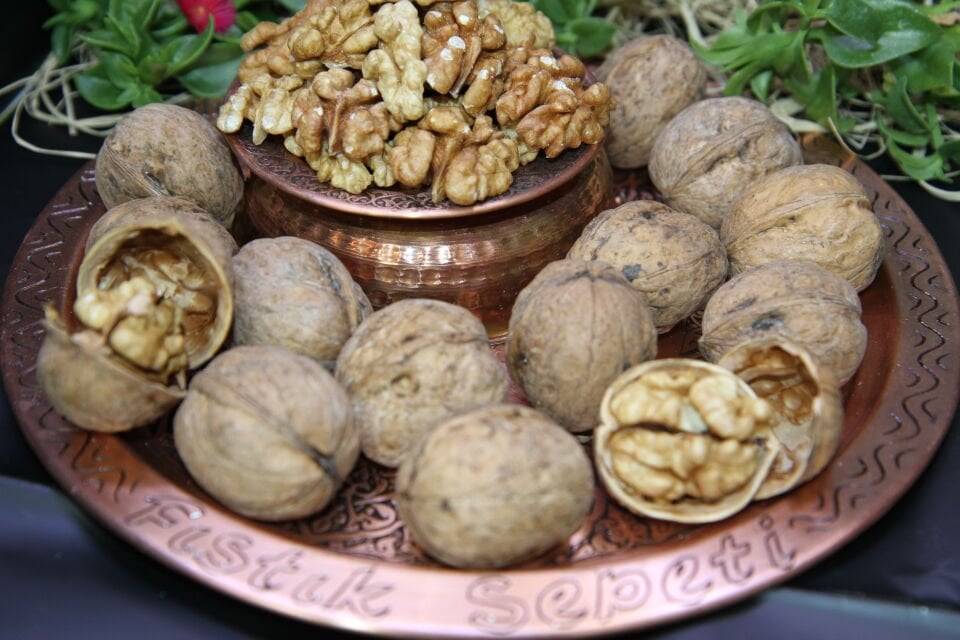 İNCE KABUKLU CEVİZ