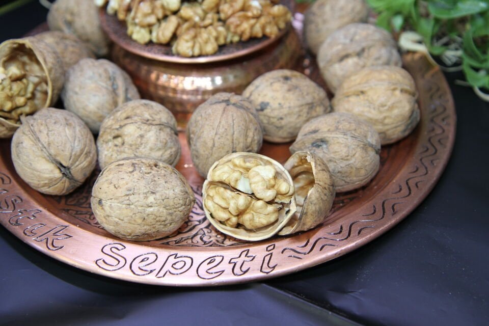 İNCE KABUKLU CEVİZ