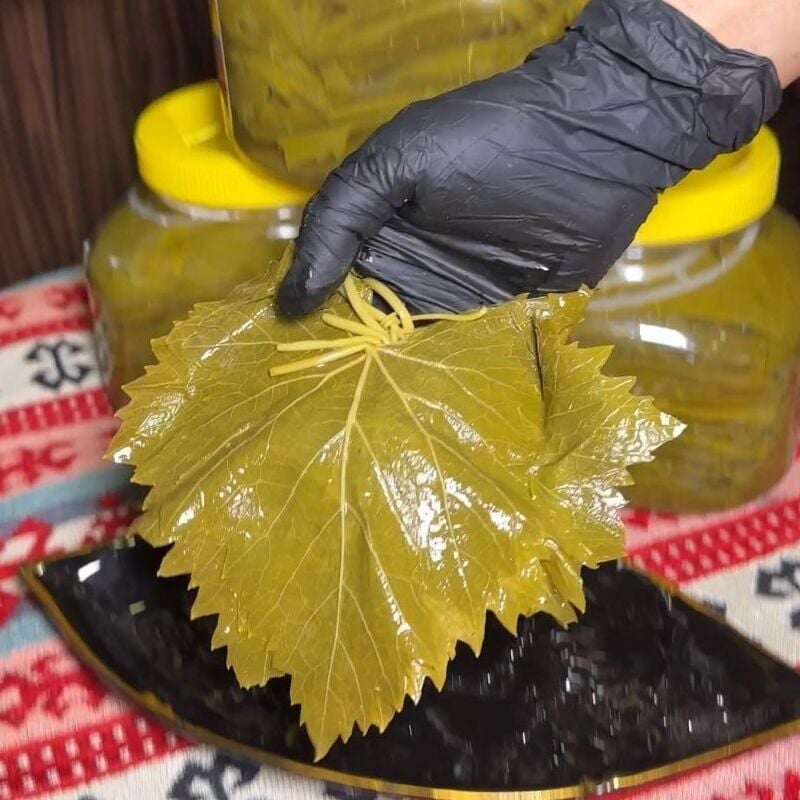 Salamura Asma Bağ Yaprağı 500 g Vakumlu Paket