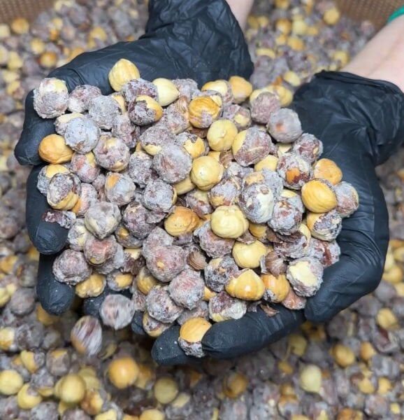 Tuzlu Kavrulmuş İç Fındık