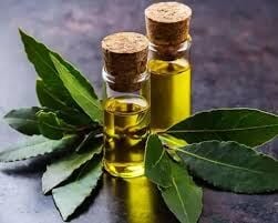 defne yaprağı yağı 20 ml