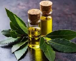 papatya yağı 20 ml